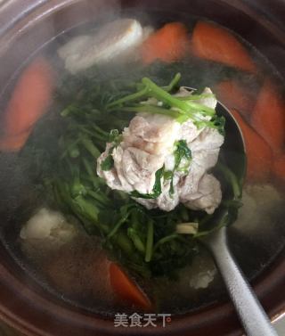 西洋菜瑤柱瘦肉湯的做法步驟：9