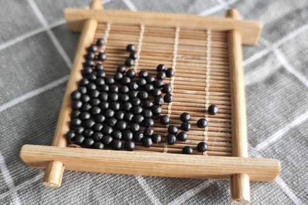 理中丸主治什么 理中丸可以主治哪些