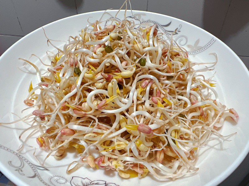 自發(fā)綠豆芽的做法