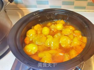 金桔膏的做法步驟：8