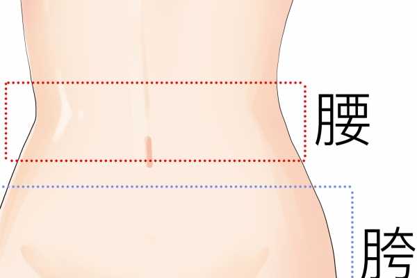 腰不好怎么辦 腰不好怎么調理