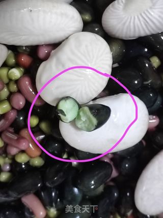黑五類養生糊的做法步驟：2