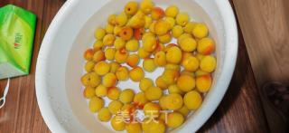 梅子露的做法步驟：1