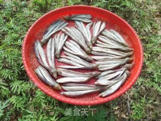 曬茄子干的做法步驟：4