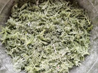 蒸迷迷蒿的做法步驟：8