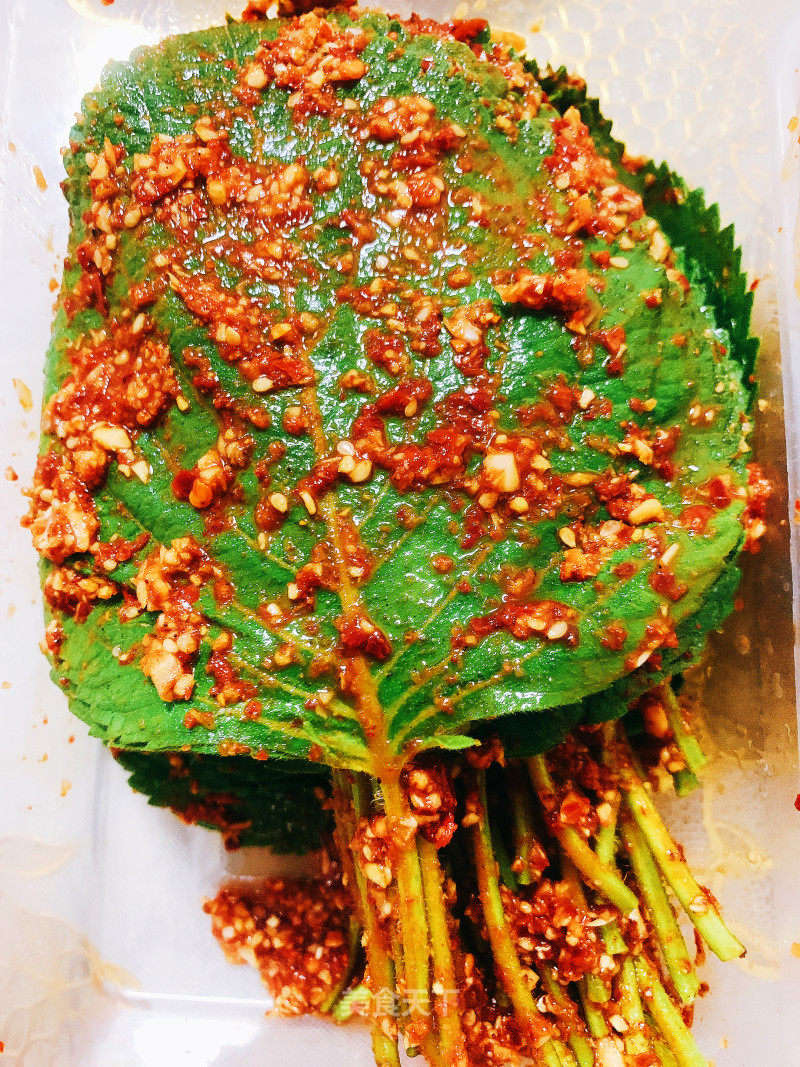 蘇子葉泡菜的做法
