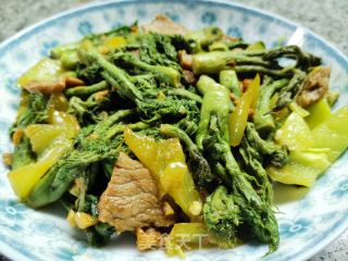 東北野山珍~肉炒刺老芽的做法步驟：9