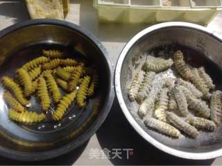 油炸大綠蟲子（柞zuò蠶）的做法步驟：4