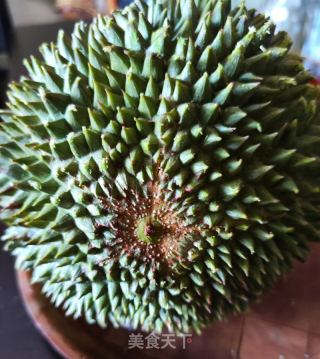 正確打開黑刺榴蓮的做法步驟：1