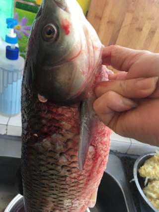 麻辣鮮香酸菜魚的做法步驟：2