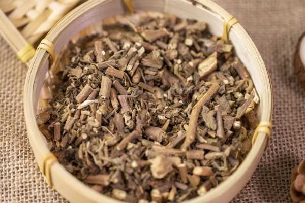 廣藿香致癌是真的嗎有哪些禁忌癥 廣藿香能致癌嗎