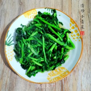 清炒小青菜的做法步驟：4