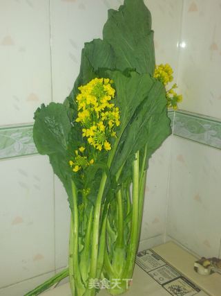 清炒遲菜心的做法步驟：2