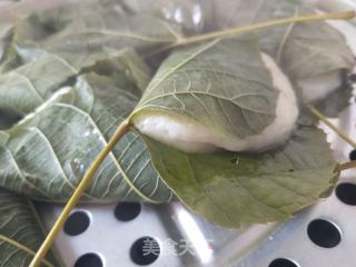 玻璃葉餅的做法步驟：8