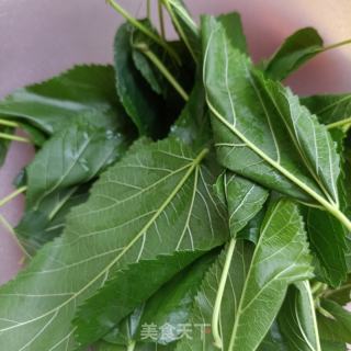 桑葉豆漿的做法步驟：1
