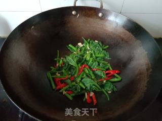 清炒南瓜藤的做法步驟：9