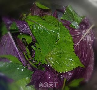 紫蘇飲的做法步驟：3