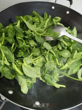 清炒小青菜的做法步驟：2