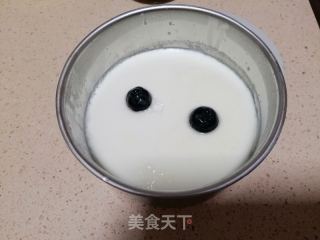 姜撞奶的做法步驟：9