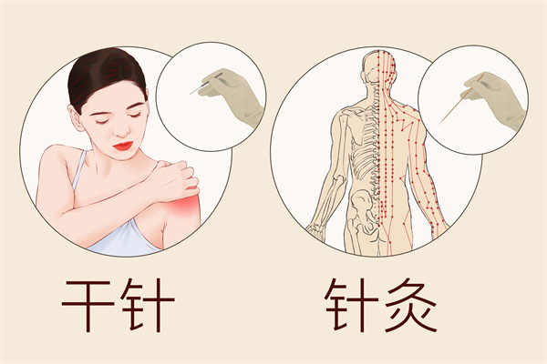 血海的功效與作用，血海的這些作用和功效