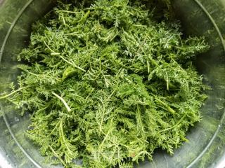 蒸迷迷蒿的做法步驟：5