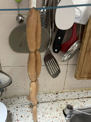 玉米雞肉腸的做法步驟：17