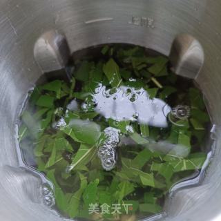 桑葉豆漿的做法步驟：4