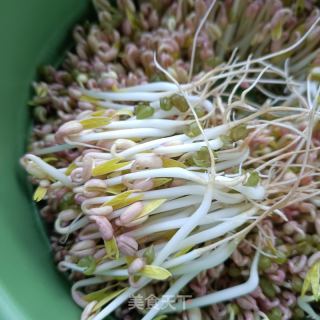 自發(fā)綠豆芽的做法步驟：11