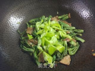 東北野山珍~肉炒刺老芽的做法步驟：8