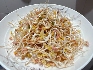 自發(fā)綠豆芽的做法步驟：7