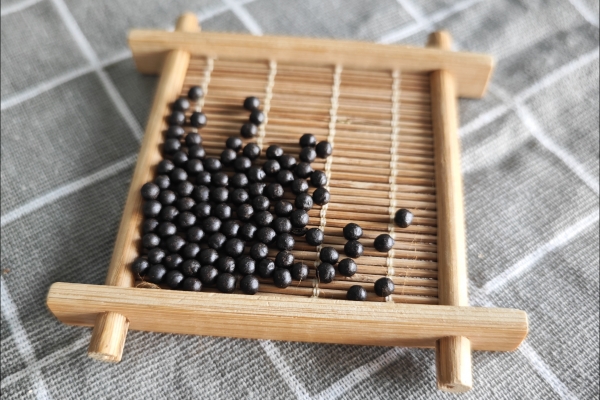 神經性失眠治療方法