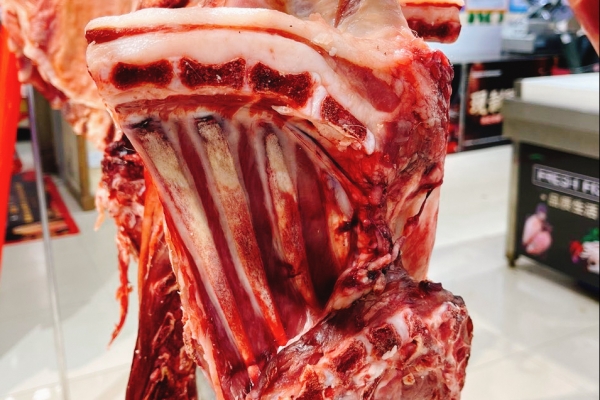 痛風能吃羊肉不
