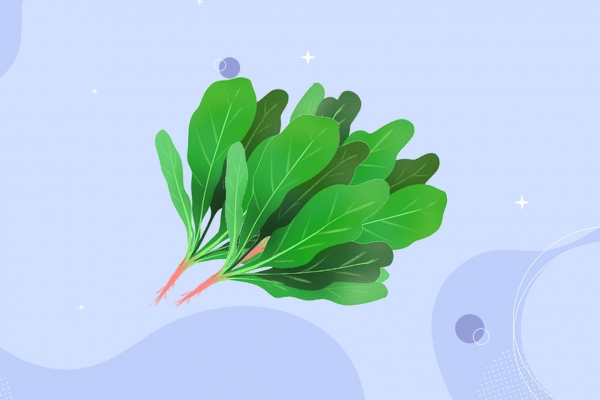 羊肉湯嘌呤高嗎